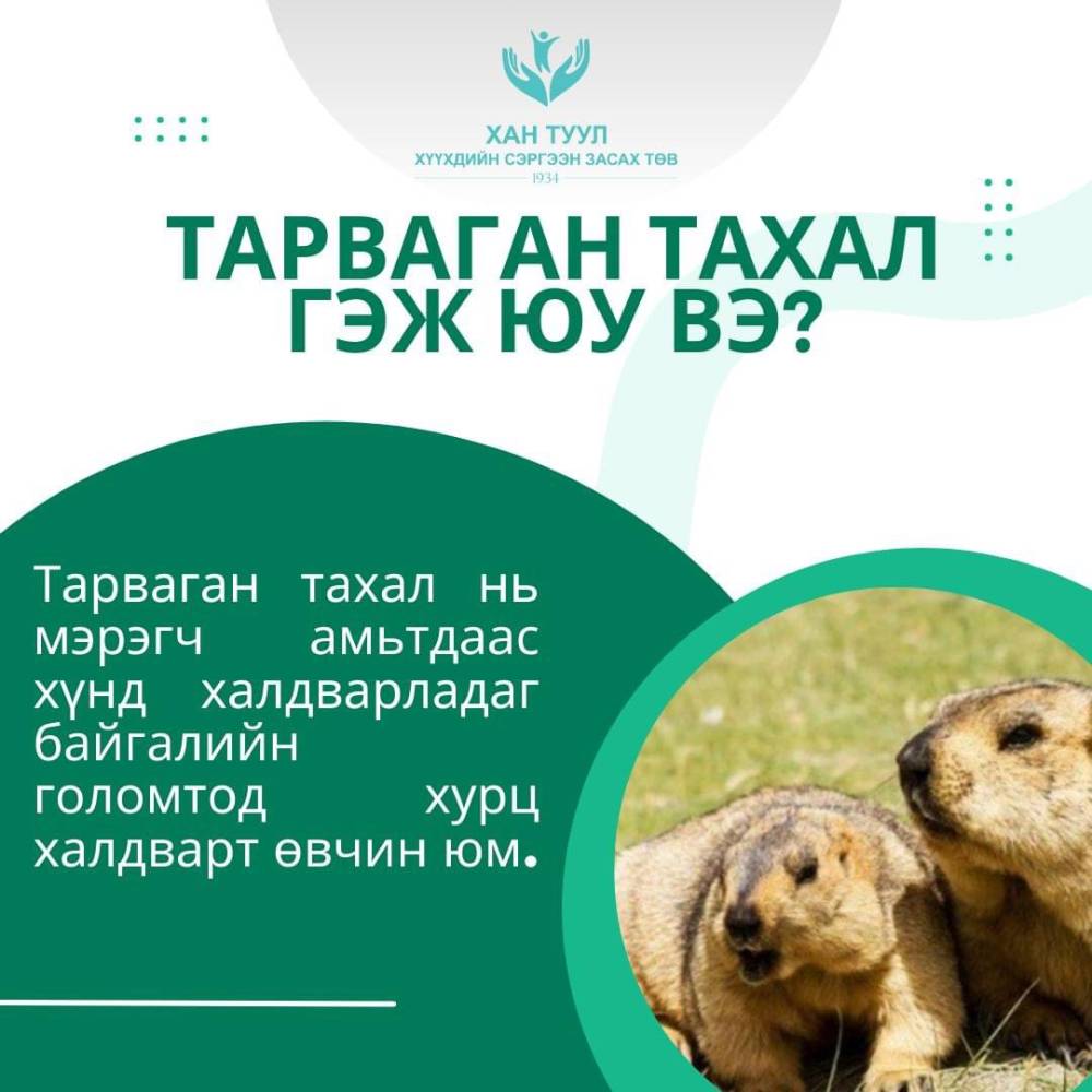 Тарваган тахал өвчнөөс сэргийлье